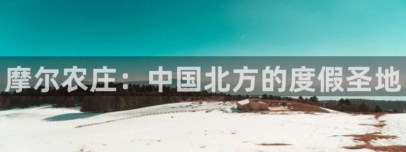 金诺利年会