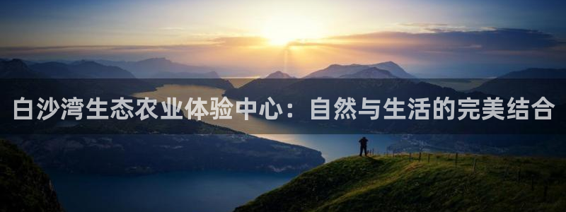金年会官网入口