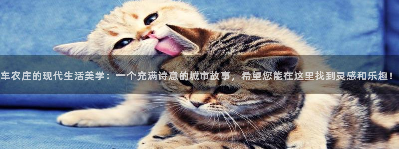 金年会娱乐提现