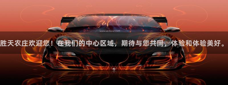 金诚集团年会