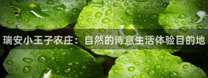 金年会APP安装下载