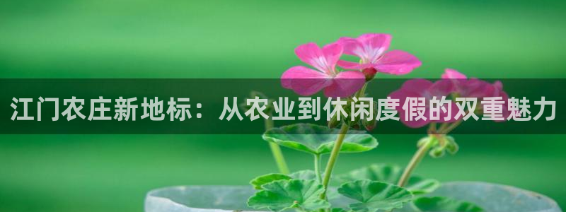 金年会取款