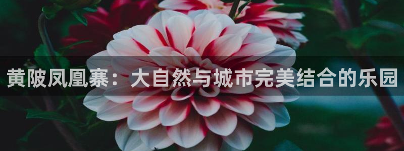 金年会平台游戏