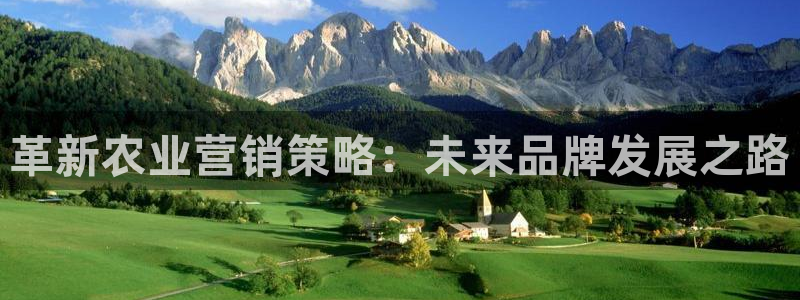 金升年会