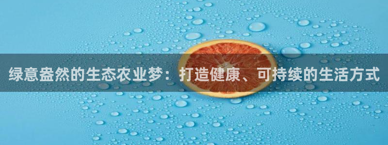 金年会金年华
