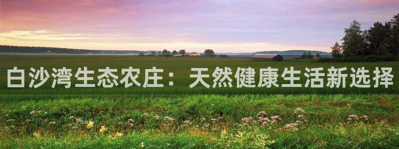 金年会手机网页版登录