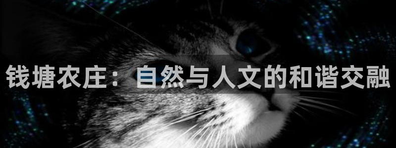融通金年会