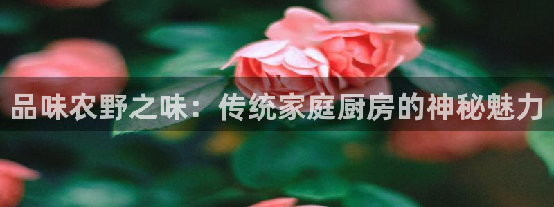 金年会金字招牌至上