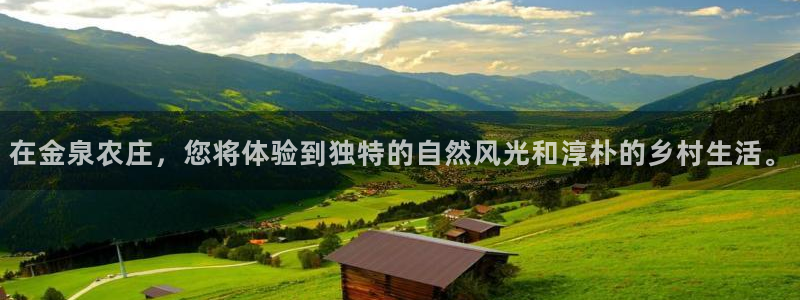 金年会网登录平台入口