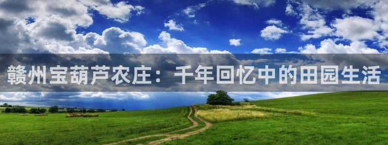 金年会全站