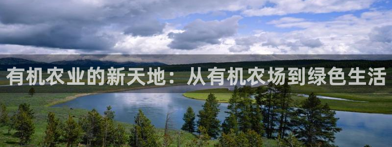 金年会平台