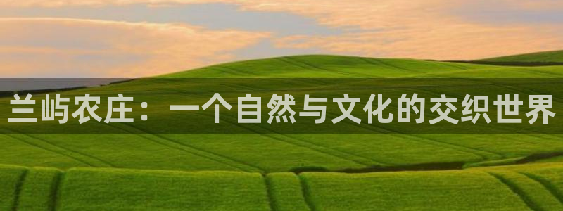 金年会金字招牌至上
