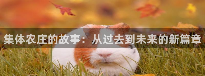 金年会网页登录