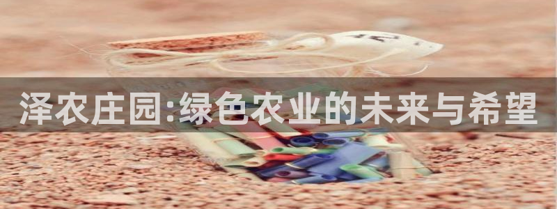 金年会平台出款