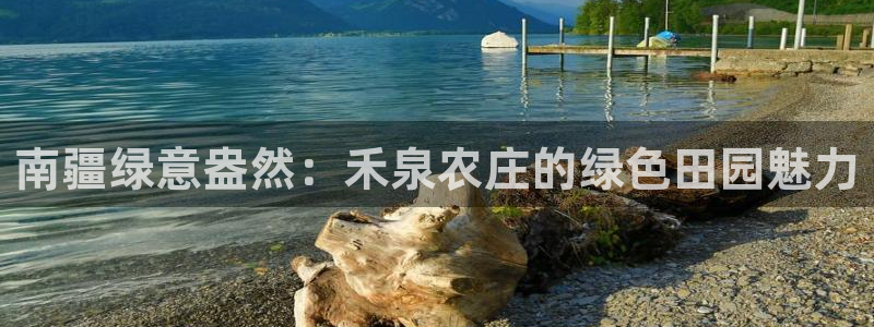 金年会全站app