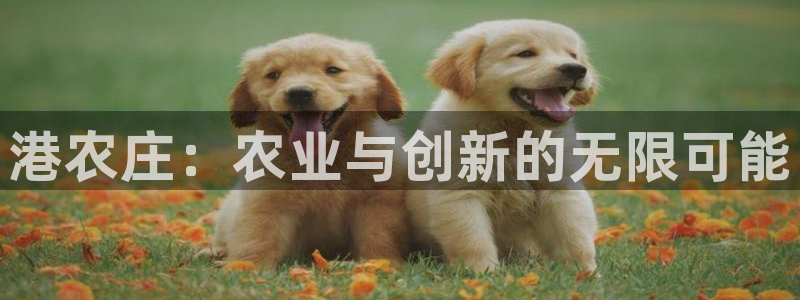 金年会在线入口