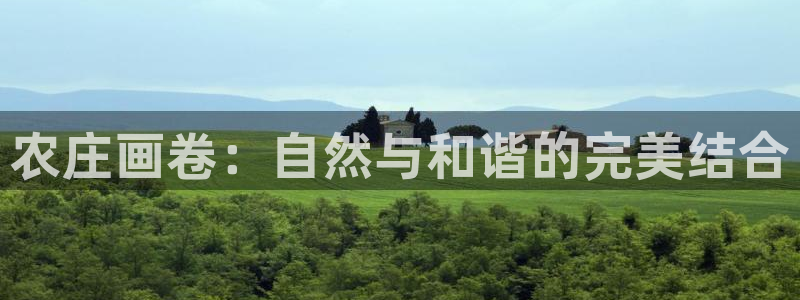 2022金年会