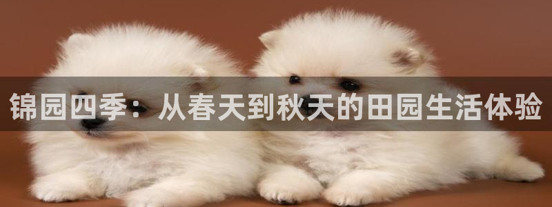 金年会体育和金年会