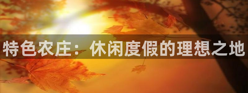 今金年会