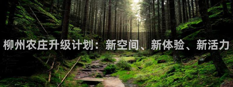 金年会娱乐提现