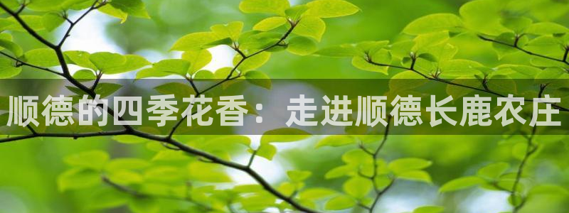 金年会金字招牌至上