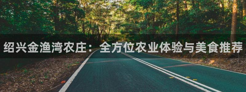 金年会注册官网