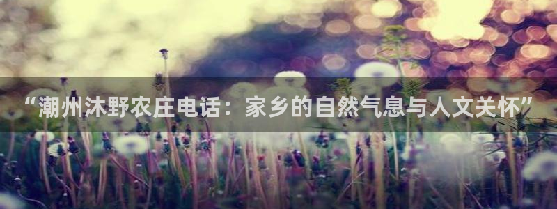 金年会这个平台