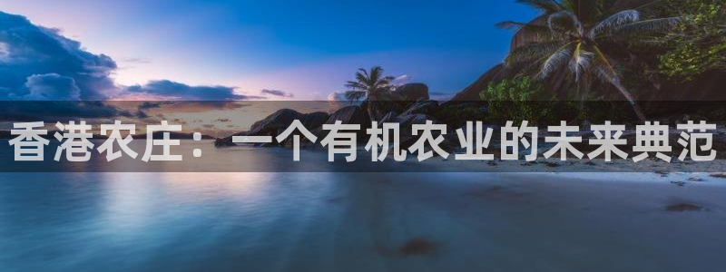 金年会提款慢