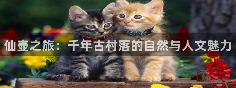 金年会退款