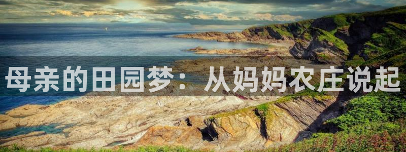 金年会APP黑钱