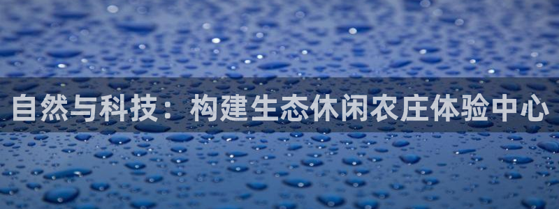 融通金年会