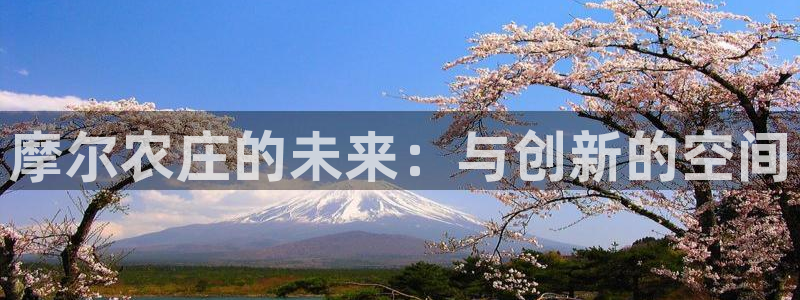金年会是赌博的吗