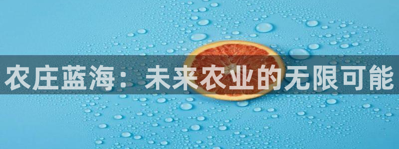 金年会体育官网在线