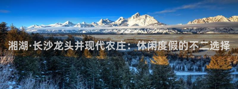 金年会体育官方网站