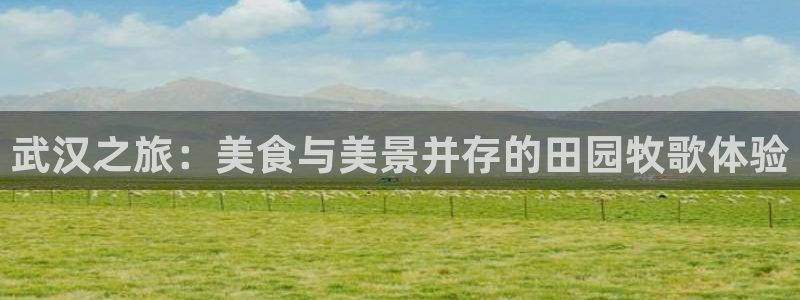 金年会官方入口