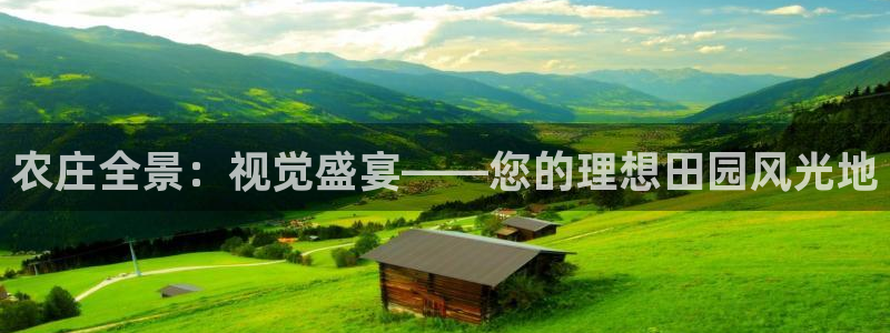 金年会彩金