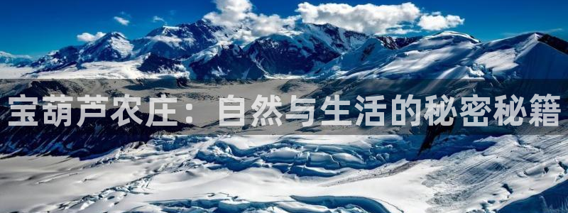 金年会app桌面
