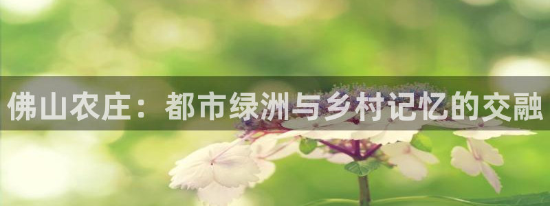 金年会官方网站入口