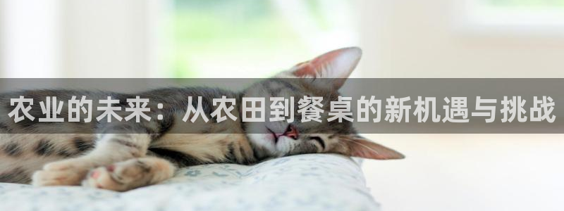 金年会平台出款