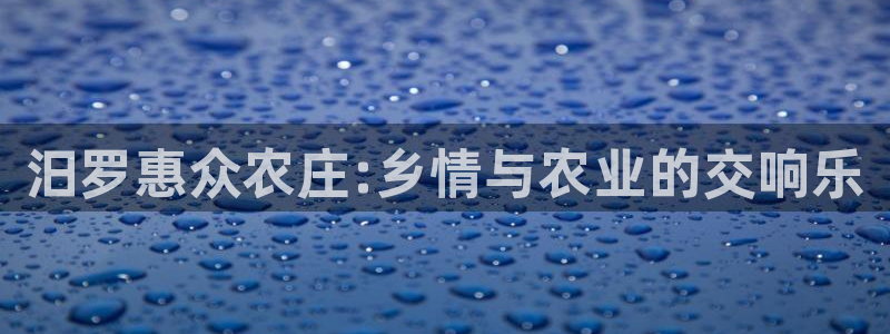 金年会提款慢