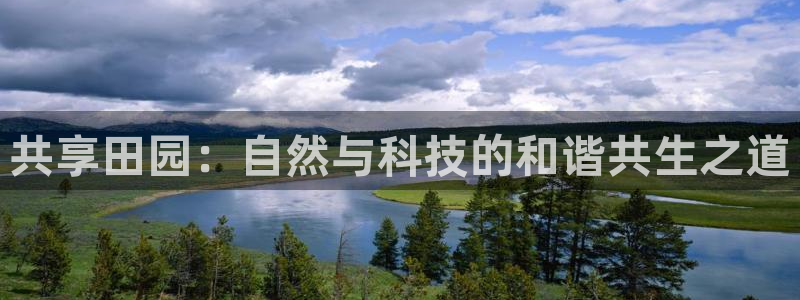 金年会app桌面