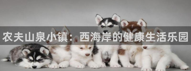 澳门与金年会的关系