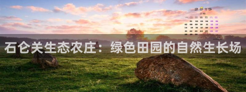 金年会赞助曼联