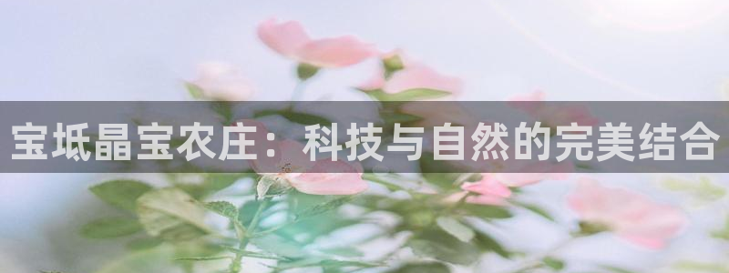 金年会官方网址登录路线