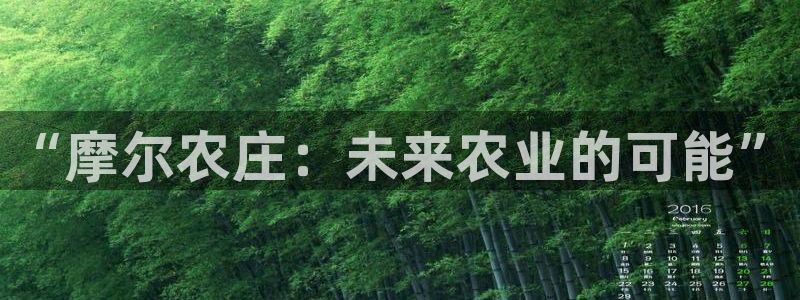 金年会com