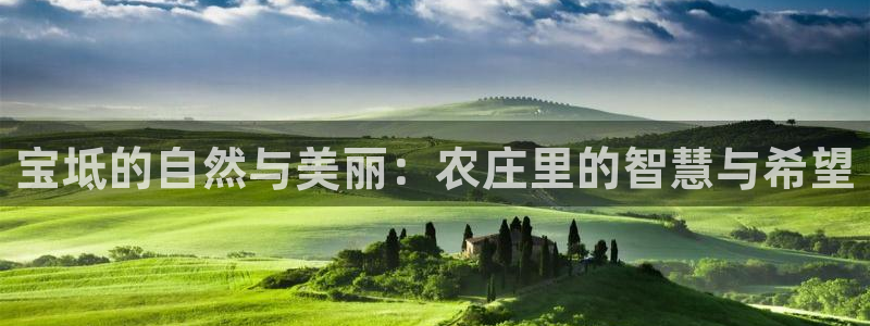 金年会手机网页登录