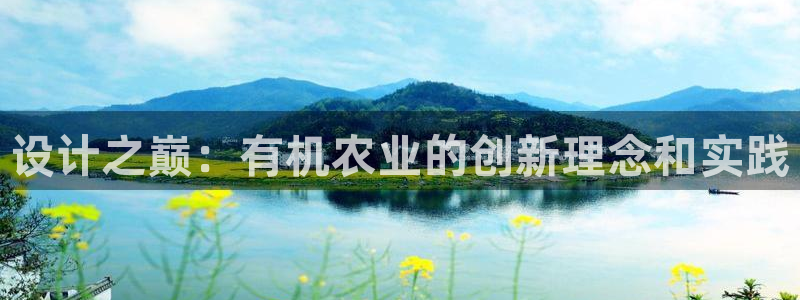 金年会是正规的吗
