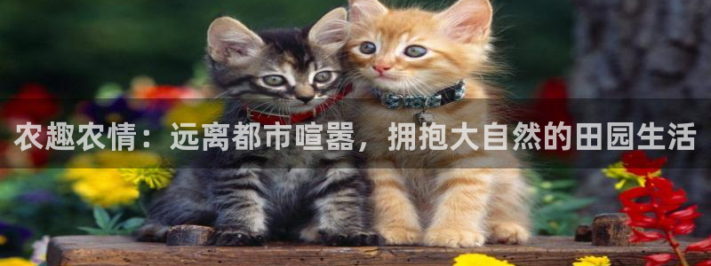 金年会娱乐app