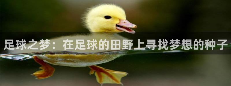 金年会体育官方网站入口
