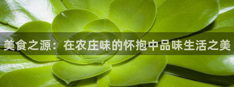 宝金年会